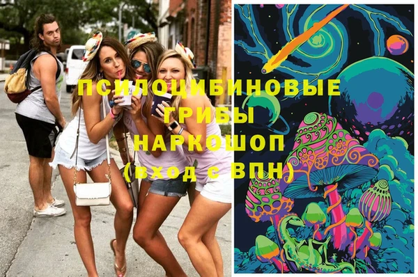 ПСИЛОЦИБИНОВЫЕ ГРИБЫ Вяземский