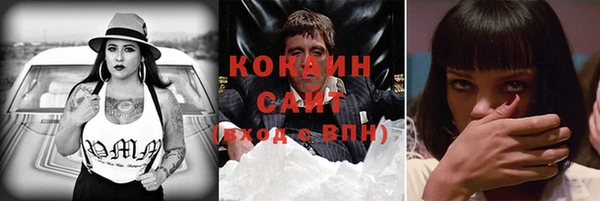 ПСИЛОЦИБИНОВЫЕ ГРИБЫ Вяземский