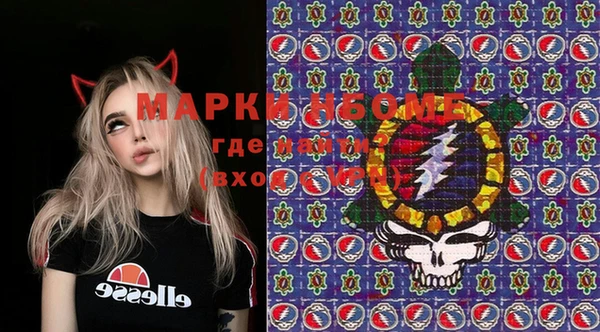 ПСИЛОЦИБИНОВЫЕ ГРИБЫ Вяземский