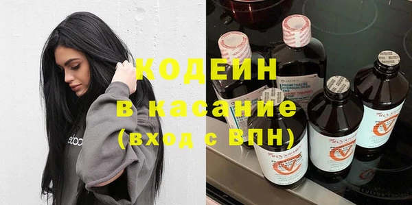 ПСИЛОЦИБИНОВЫЕ ГРИБЫ Вяземский