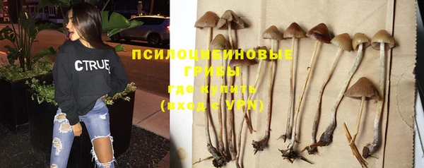 твердый Вязники