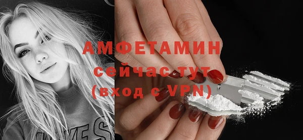 ПСИЛОЦИБИНОВЫЕ ГРИБЫ Вяземский