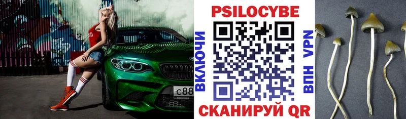 hydra ссылка  Зубцов  Галлюциногенные грибы Psilocybe 