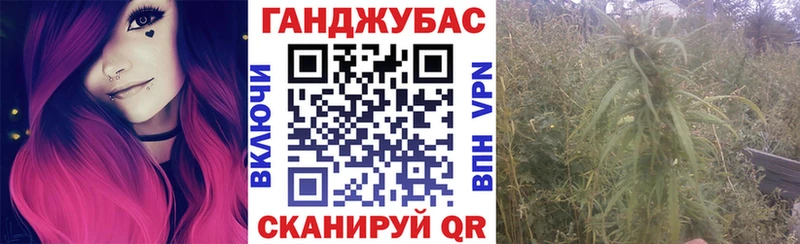 Каннабис SATIVA & INDICA  Зубцов 